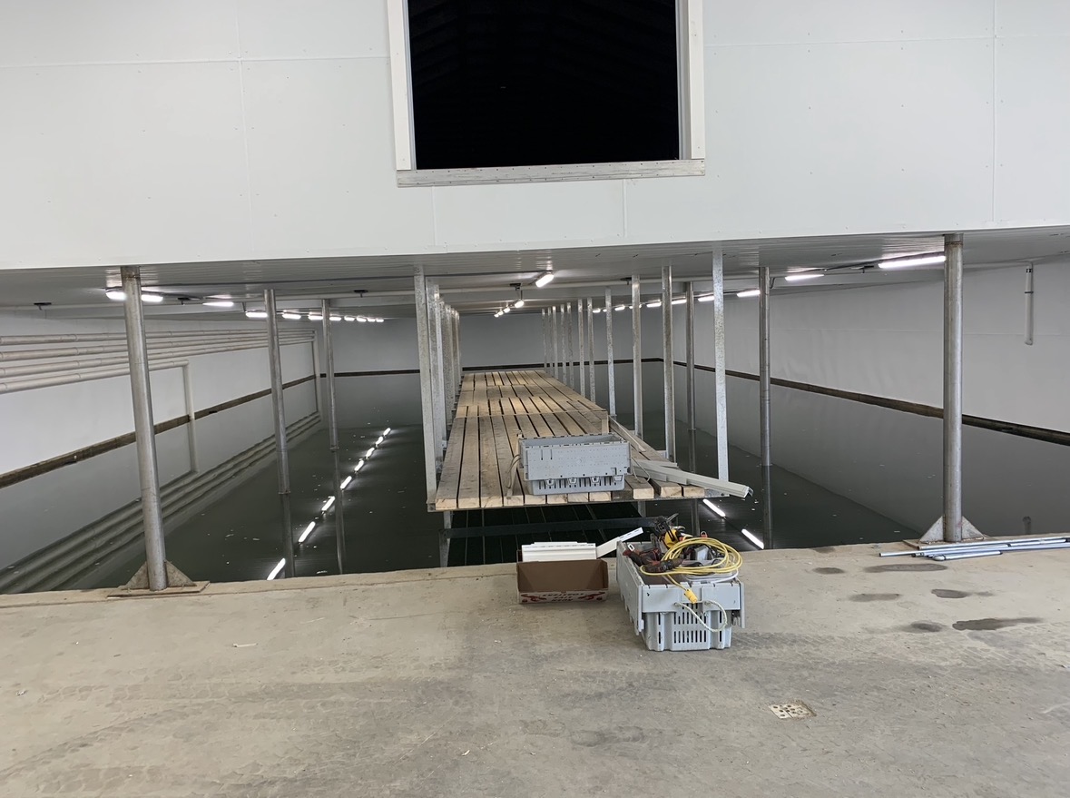 Overhead lighting installation in a commercial lobster processing facility