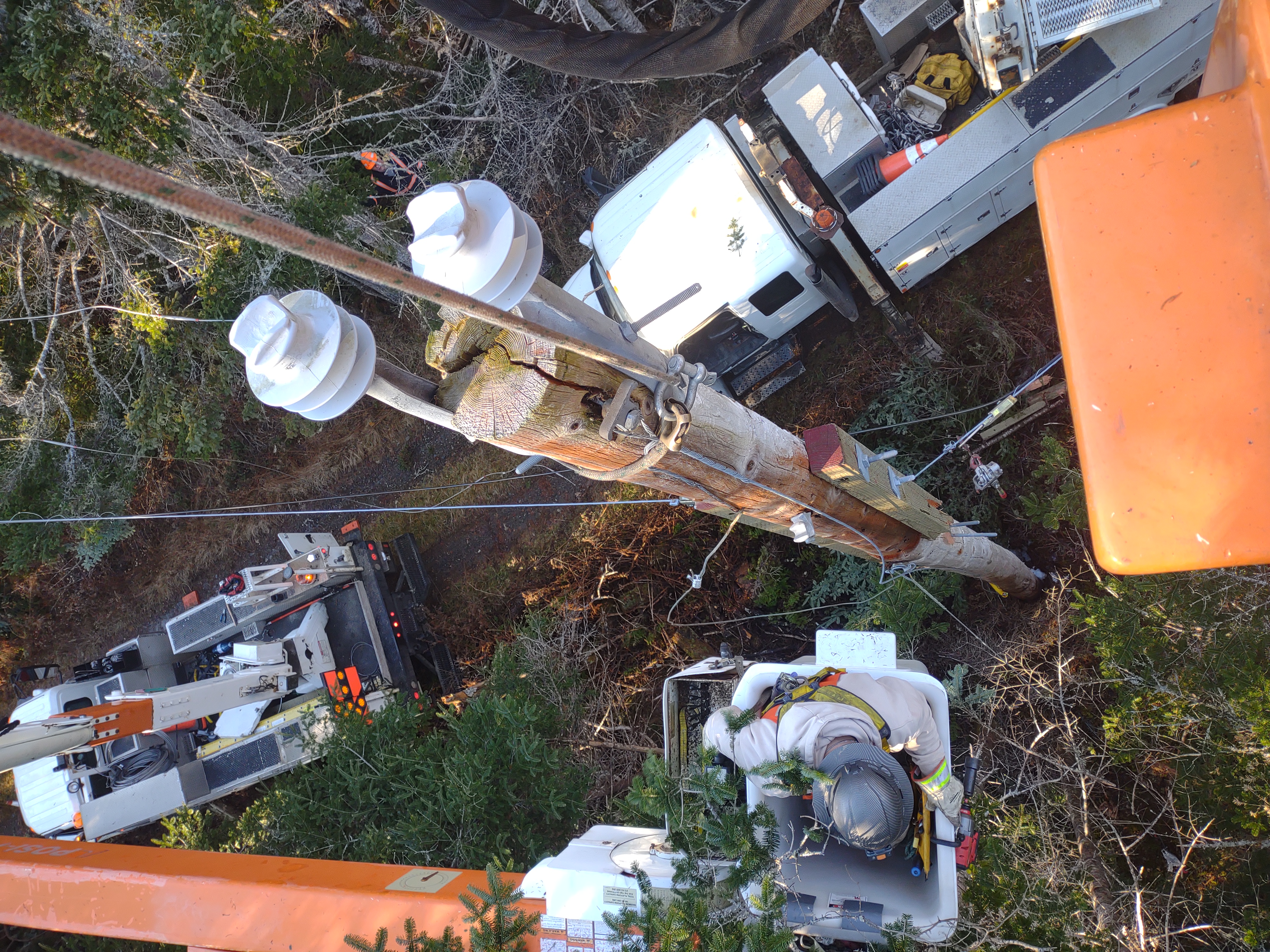 Storm restoration work in progress with bucket trucks and crew